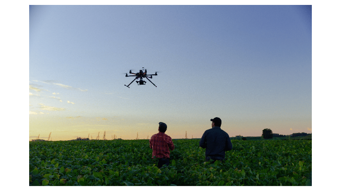 Dron sobre cultivo